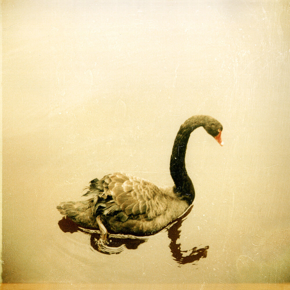 Picture of Crooked Fingers (Deluxe Edition)