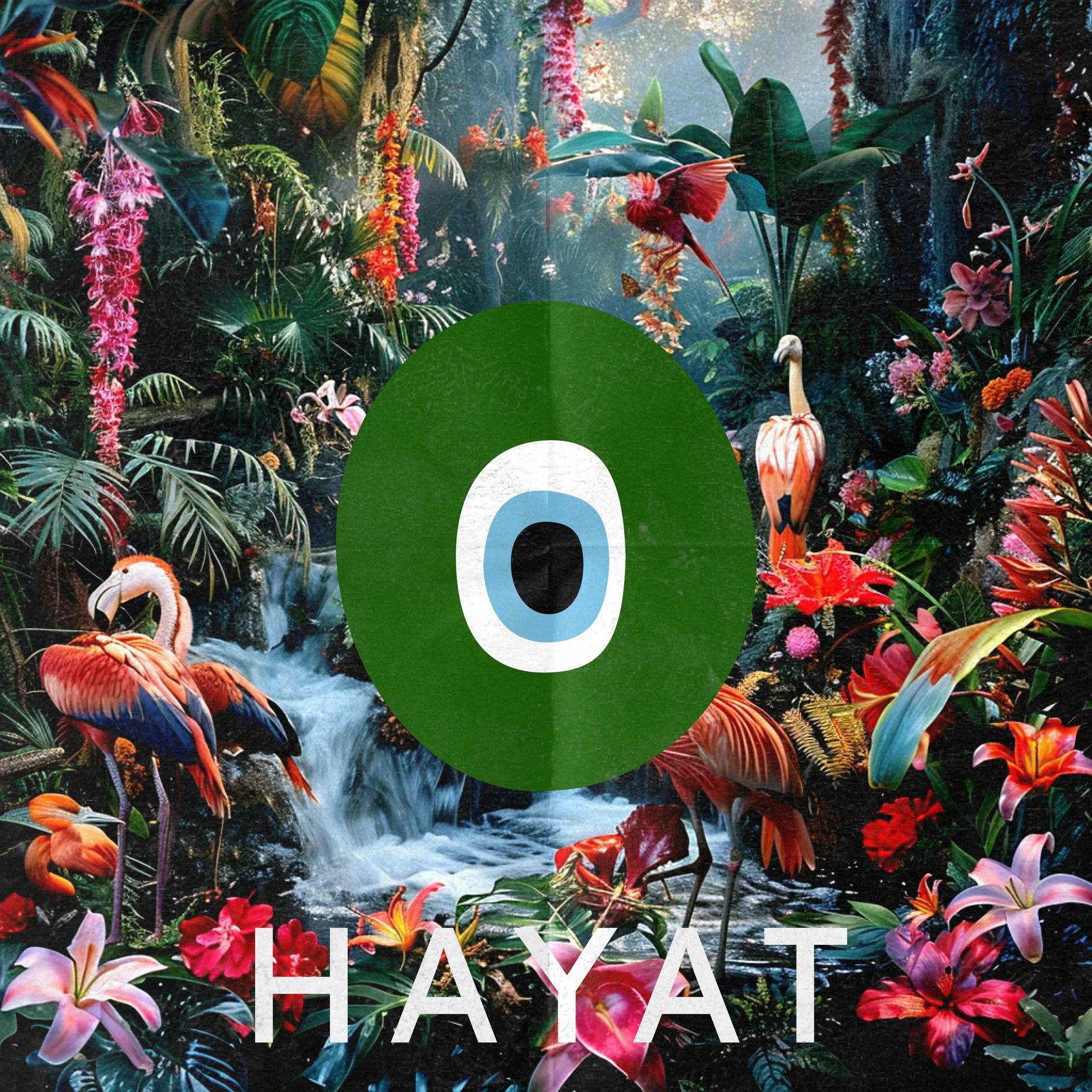 Album cover of Hayat