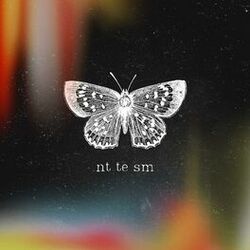 Cover of Not the Same