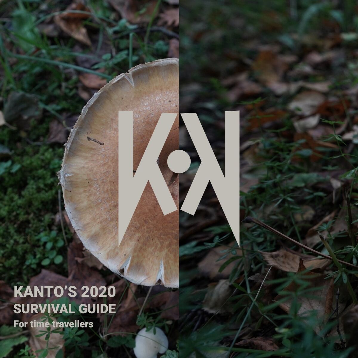 Album cover of Kanto's 2020 Survival Guide for Time Travelers