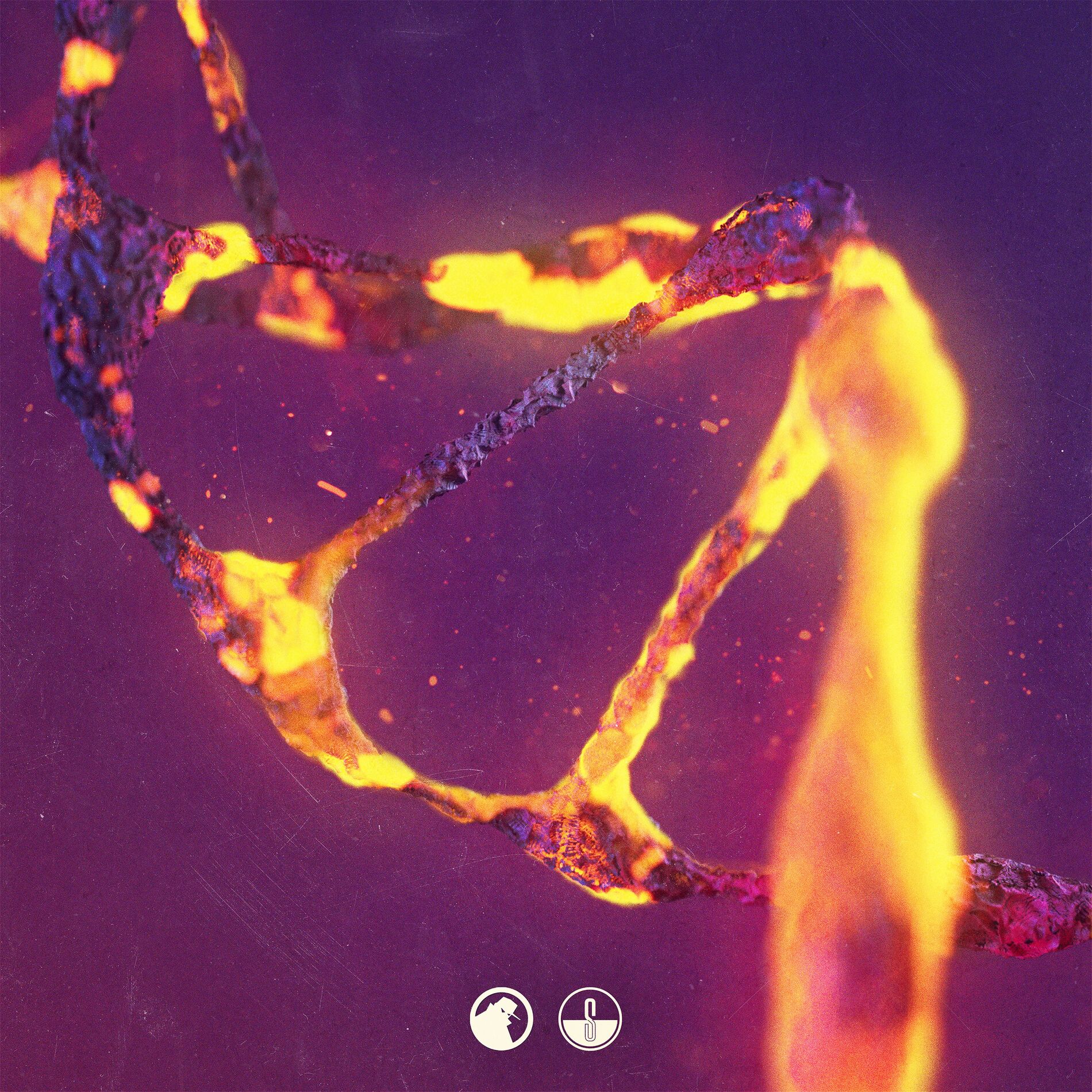 Album cover of No More