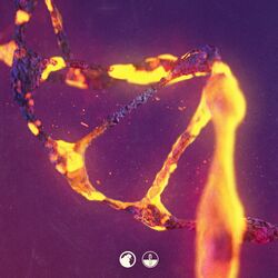 Cover of No More