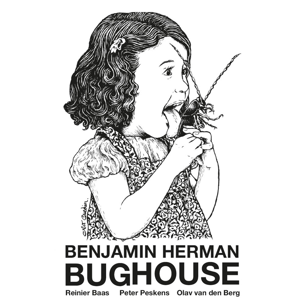 Picture of Bughouse
