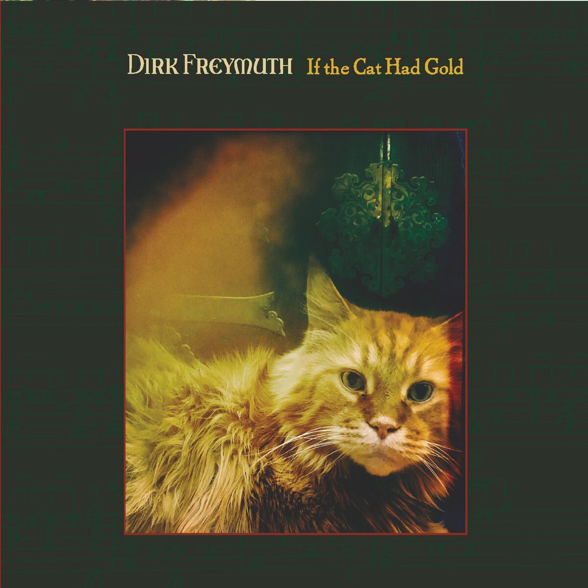 Album cover of If the Cat Had Gold