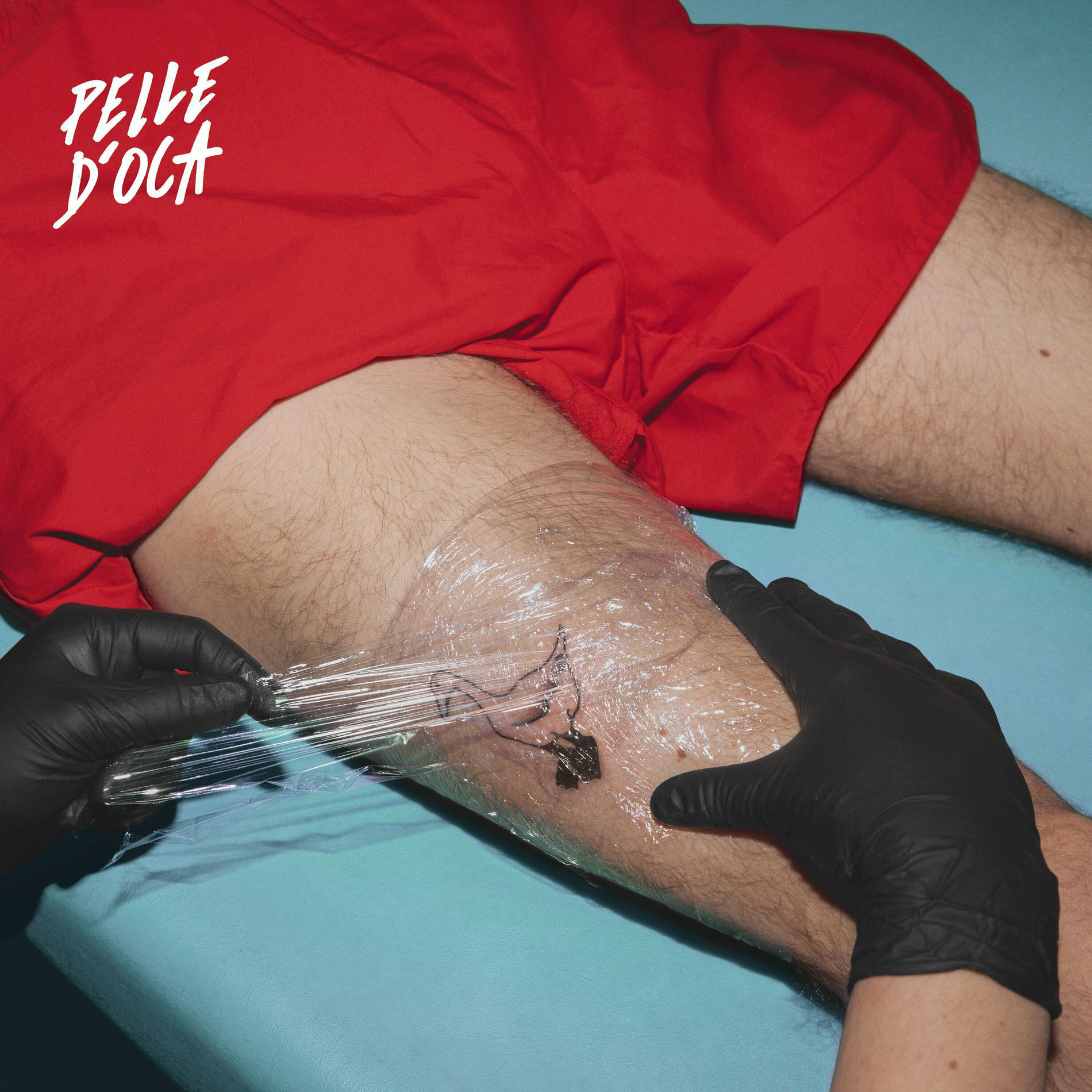 Album cover of Pelle d'Oca