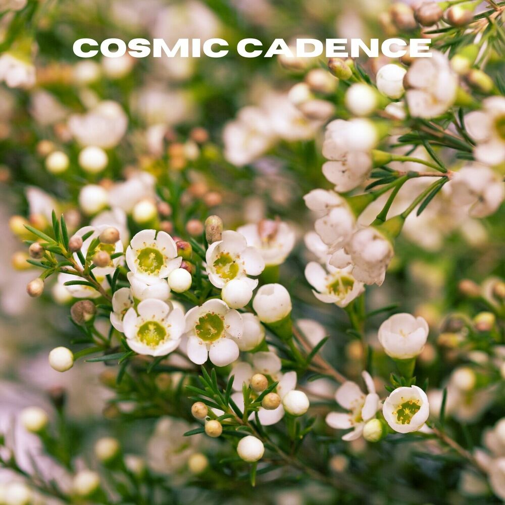 Picture of Cosmic Cadence