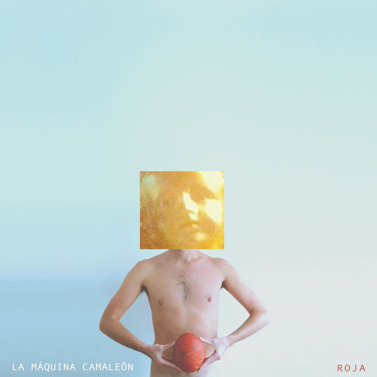 Album cover of Roja
