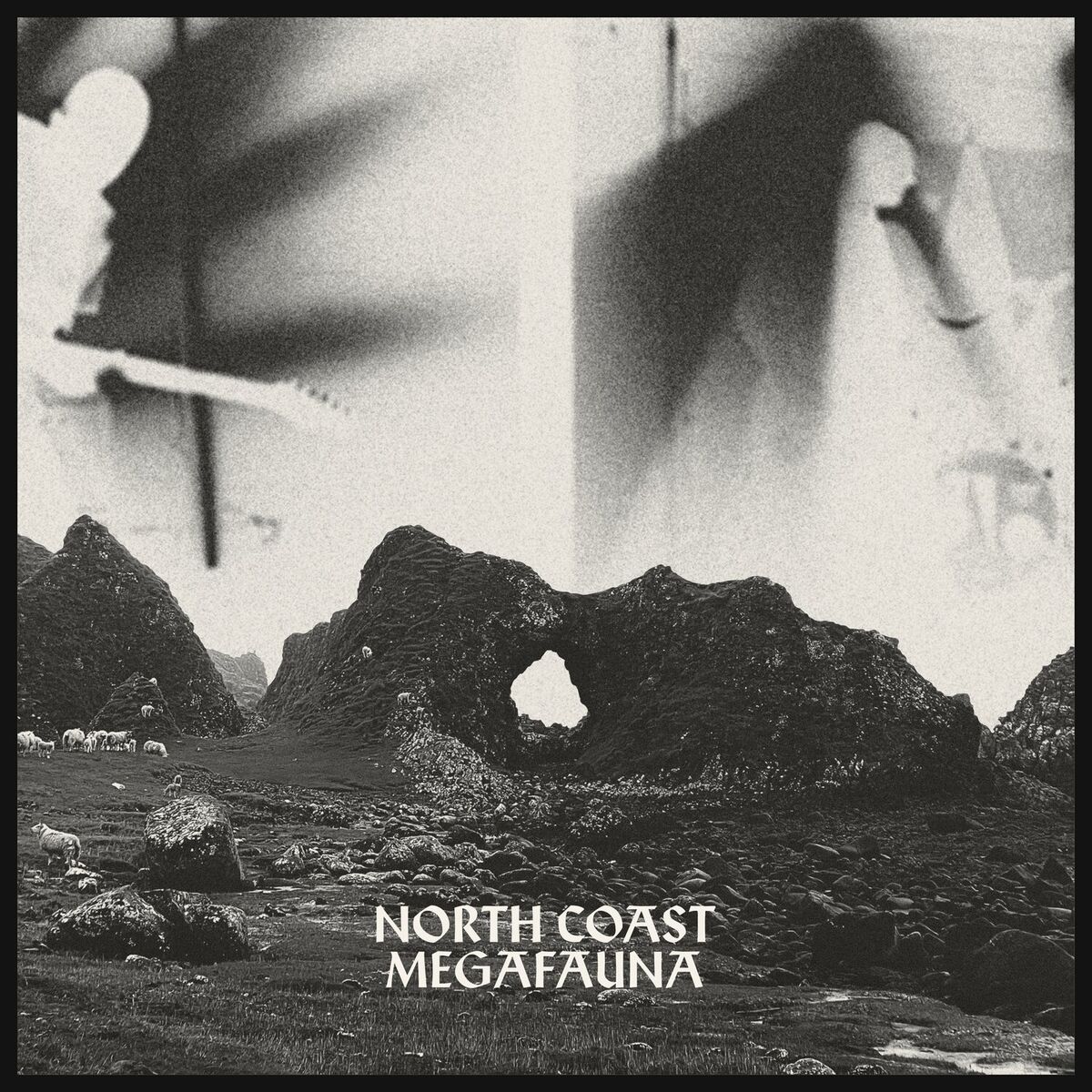 Album cover of North Coast Megafauna