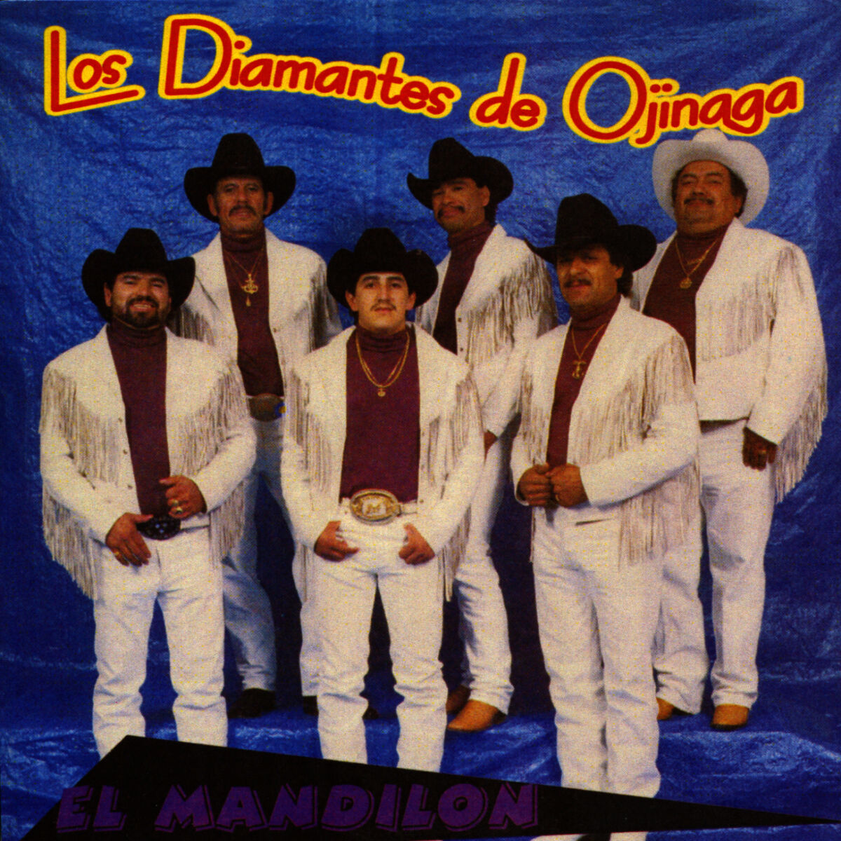 Album cover of El Mandilon