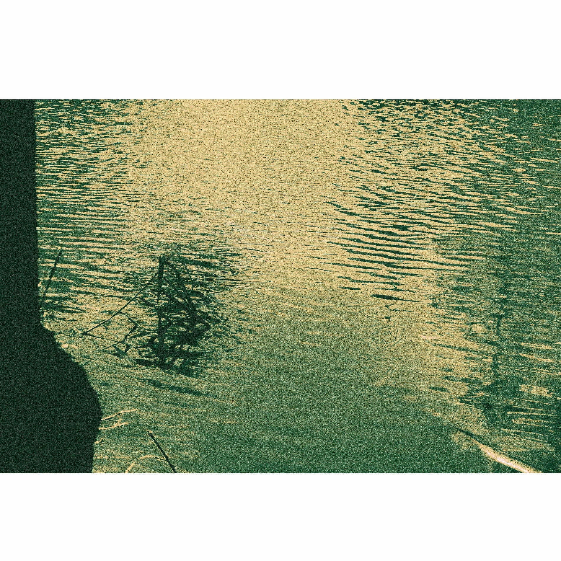 Album cover of Lagoon