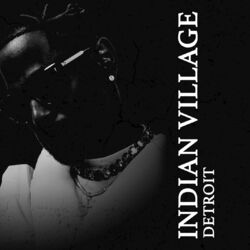 Cover of Indian Village