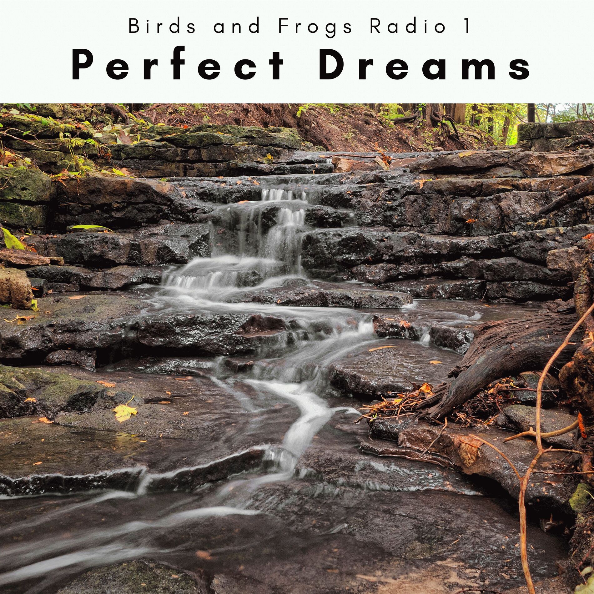 Album cover of 2022 Perfect Dreams