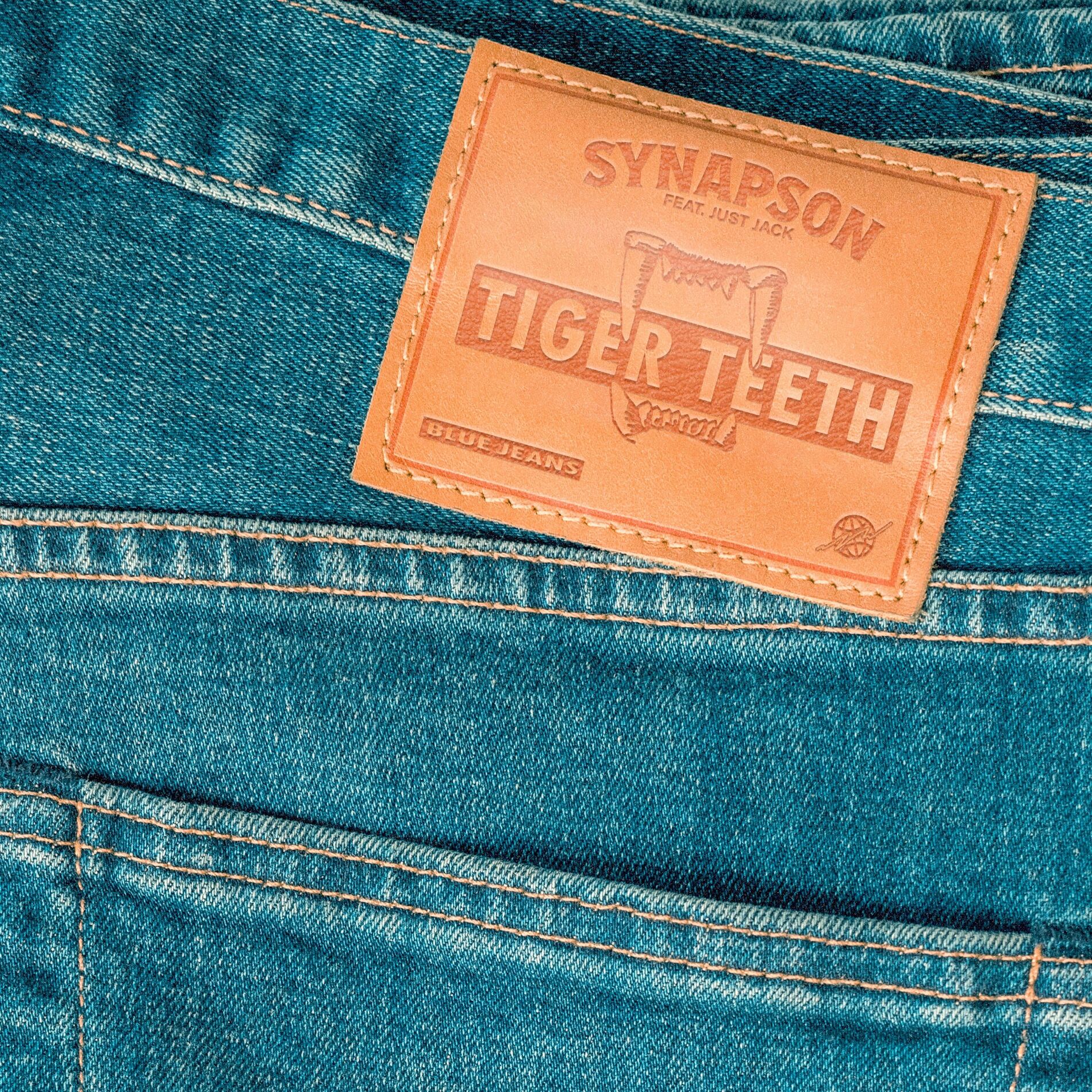 Album cover of Tiger Teeth