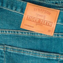 Cover of Tiger Teeth