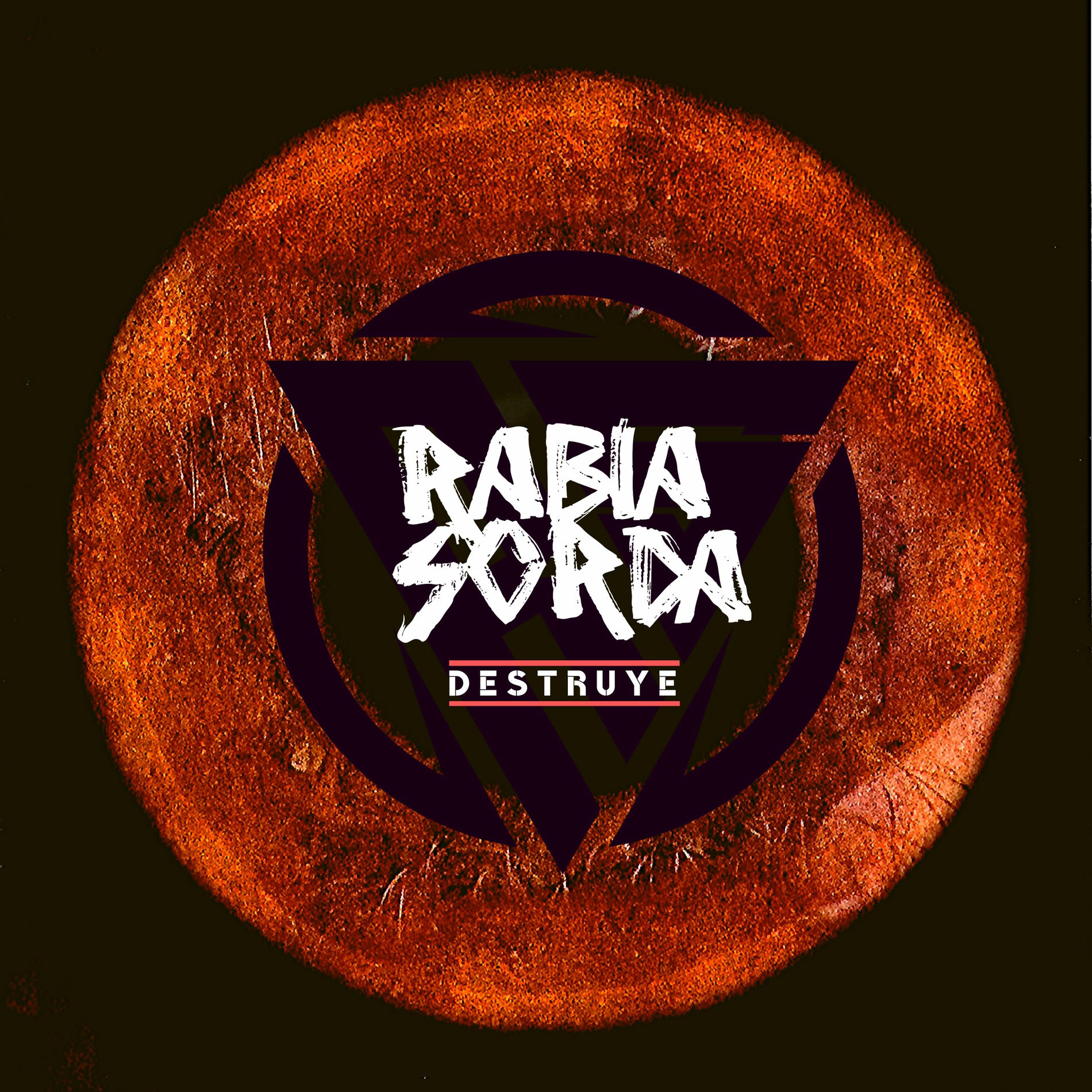 Album cover of Destruye