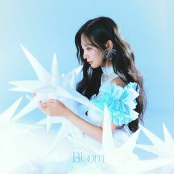 Cover of Bloom