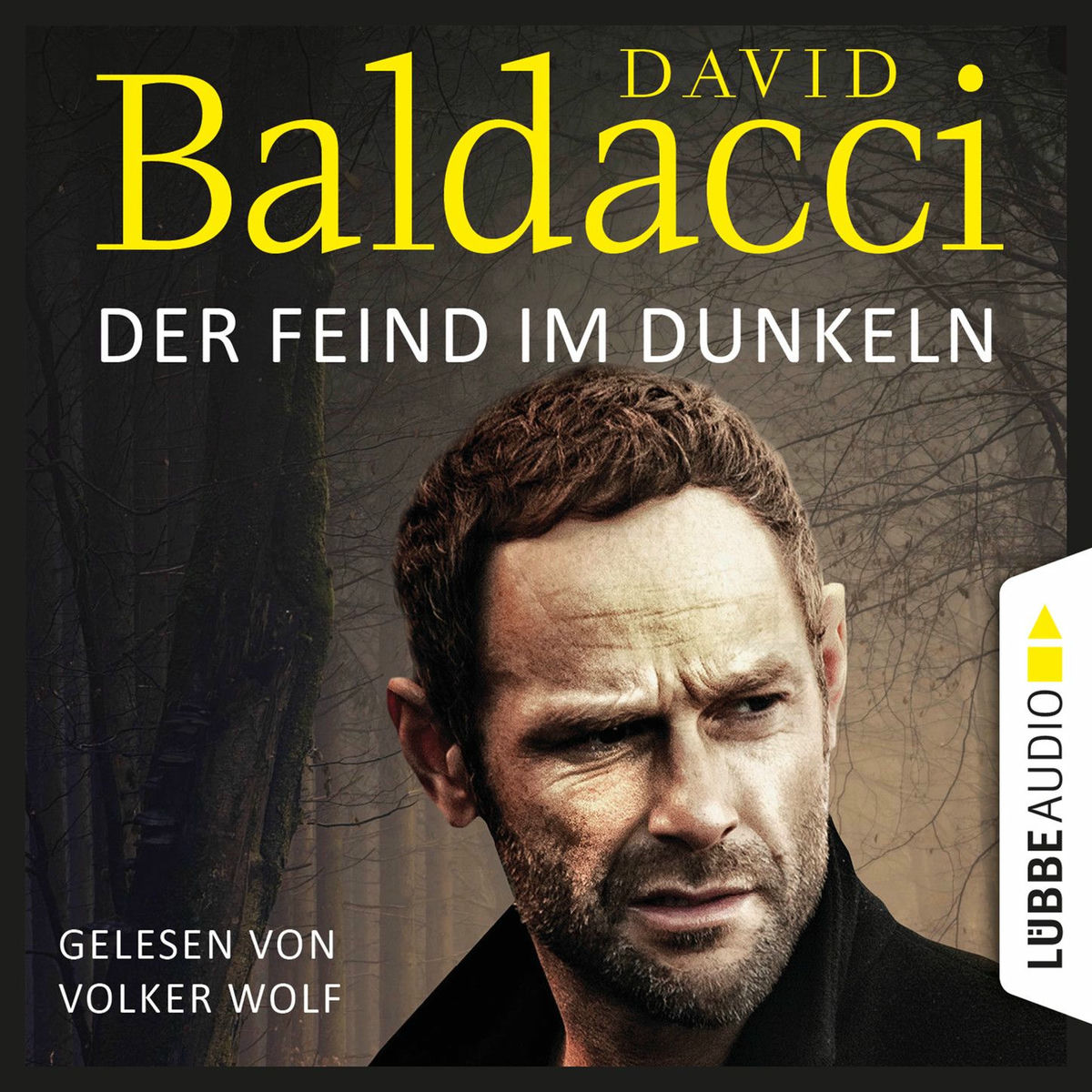 Album cover of Der Feind im Dunkeln - Will Robies fünfter Fall - Will Robie 5 (Gekürzt)