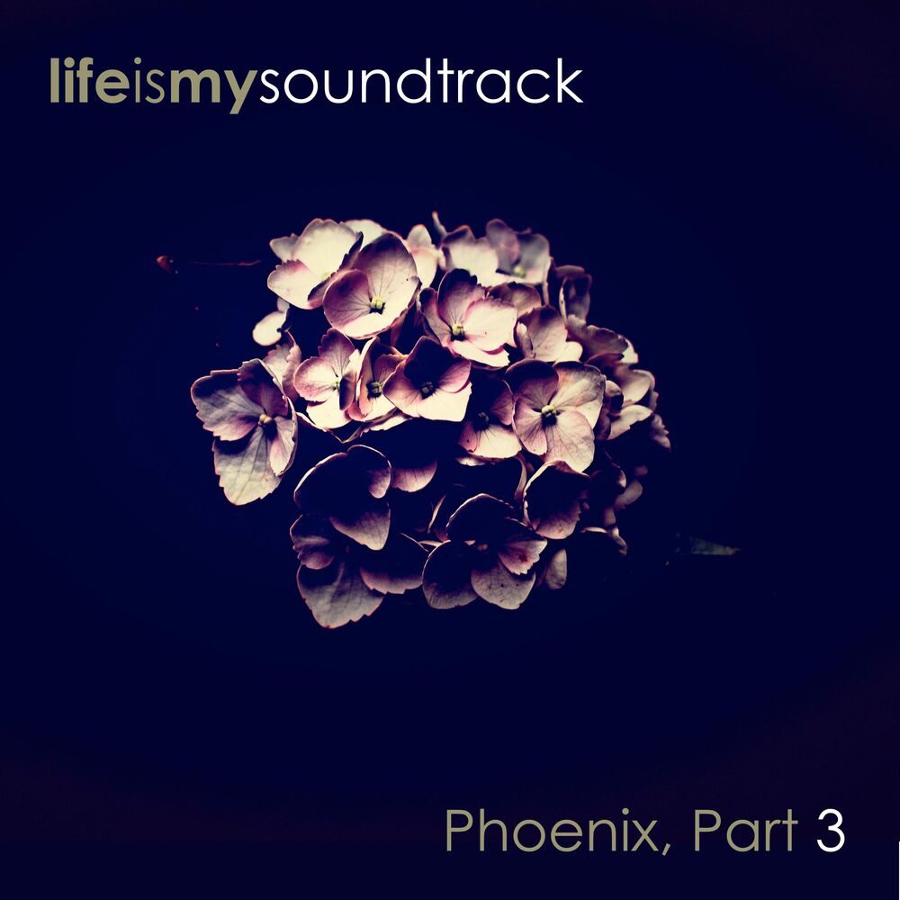 Picture of Phoenix, Pt. 3