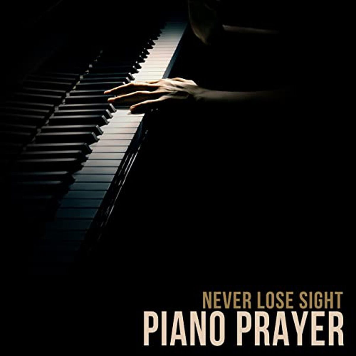 Album cover of Never Lose Sight