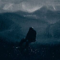Cover of Overanalyze