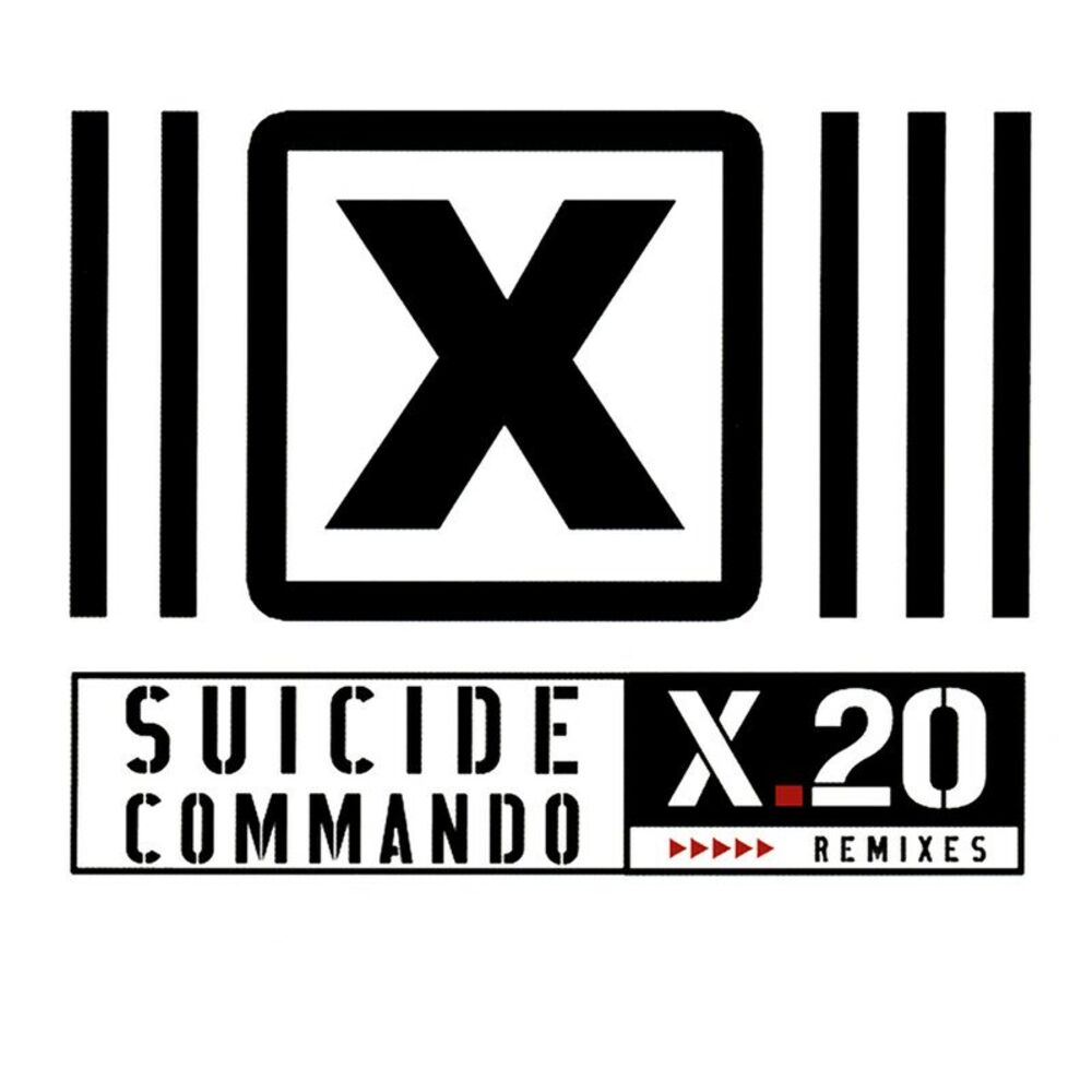 Picture of X.20 (Remixes)
