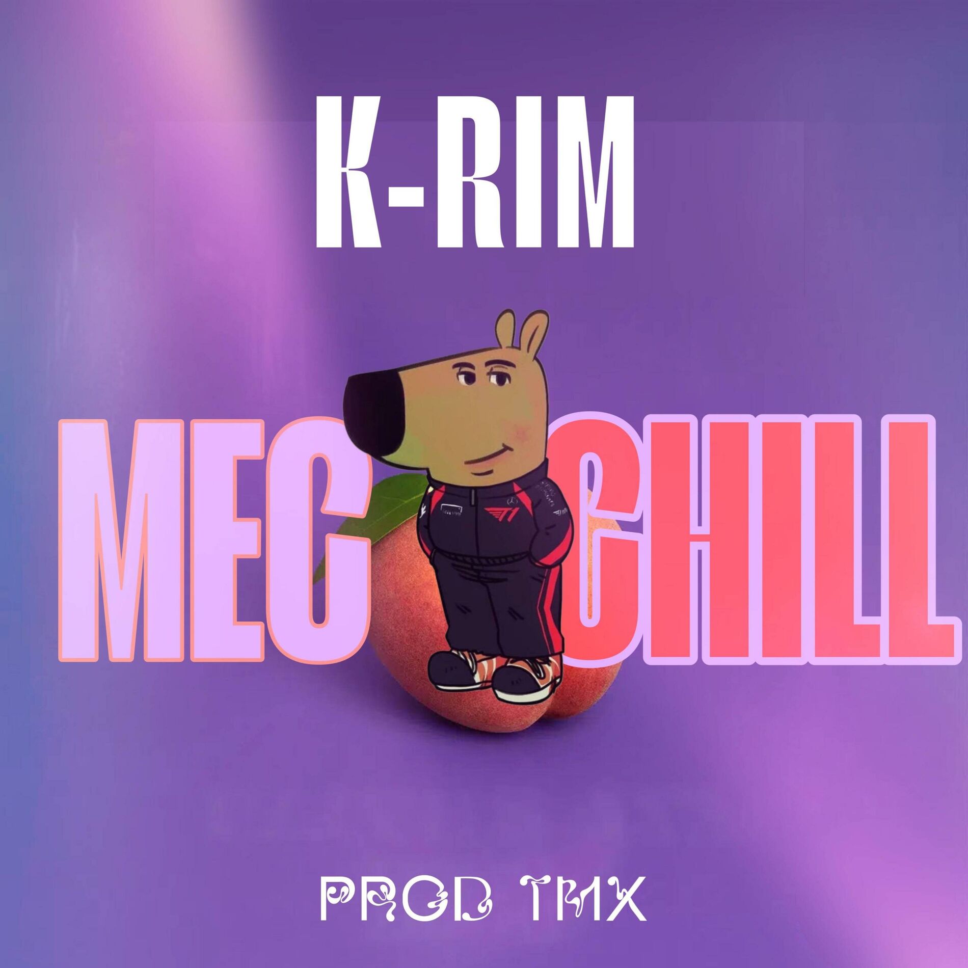 Album cover of Mec Chill (feat. TMX Official)