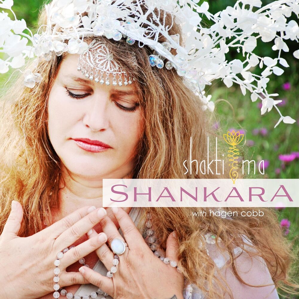 Picture of Shankara