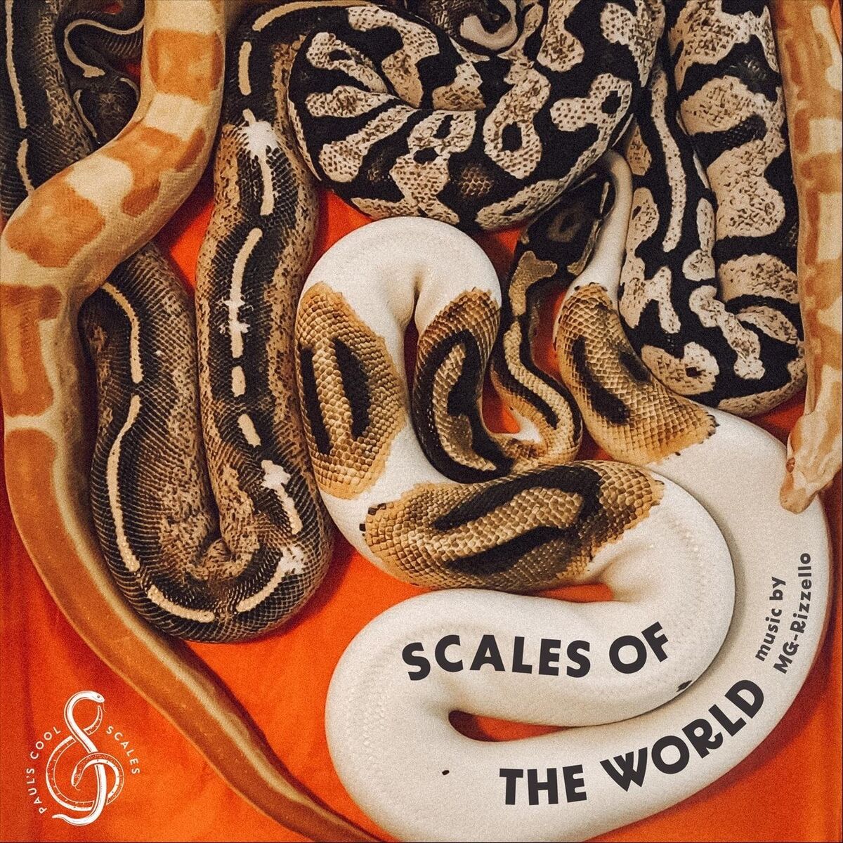 Album cover of Step into This World