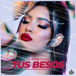 Cover of Tus Besos