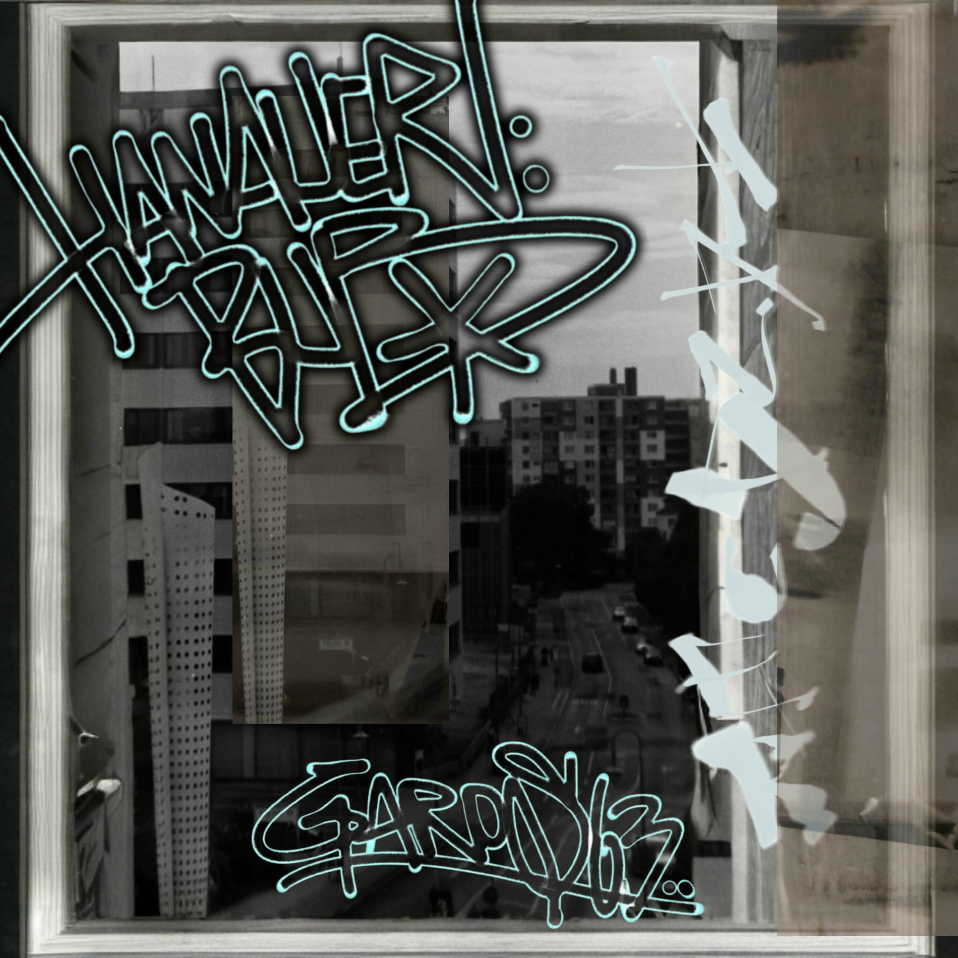 Album cover of HANAUER BUB