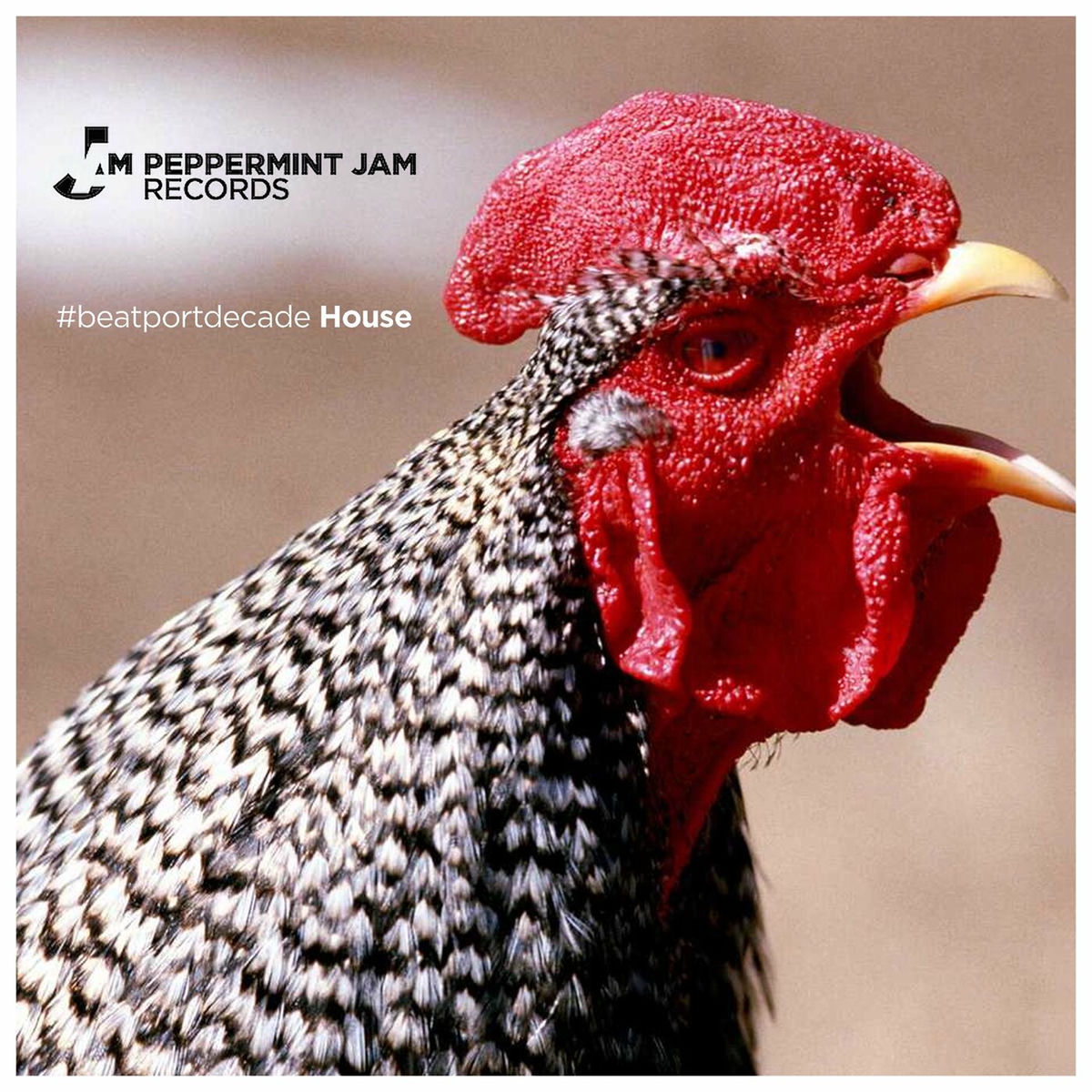 Album cover of Peppermint Jam #BeatportDecade House