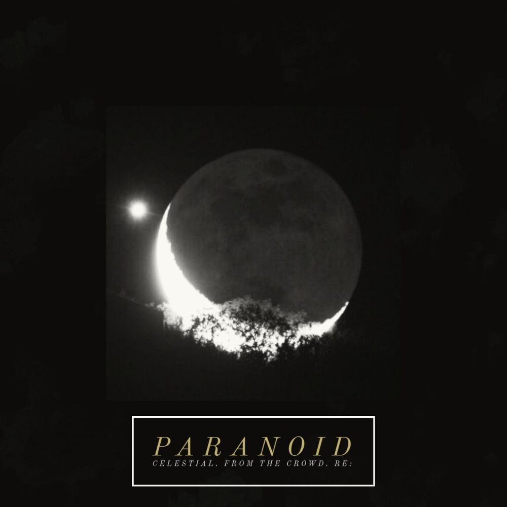 Picture of Paranoid