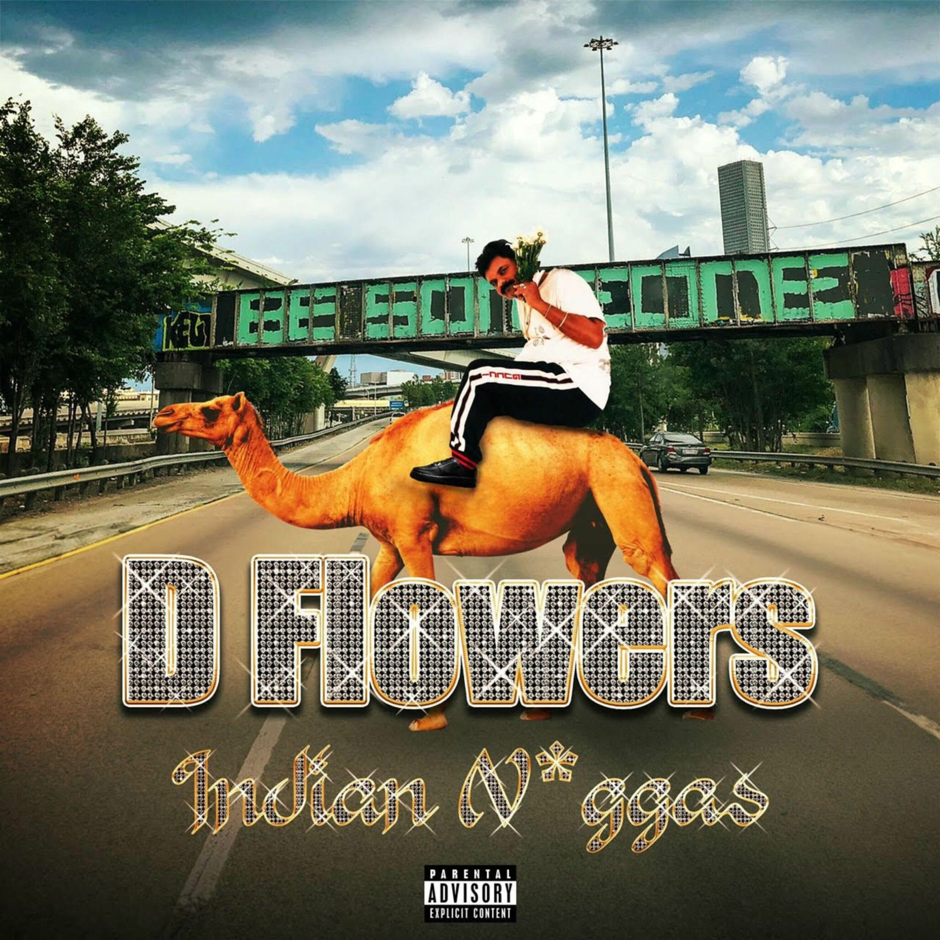 Album cover of Indian N*ggas