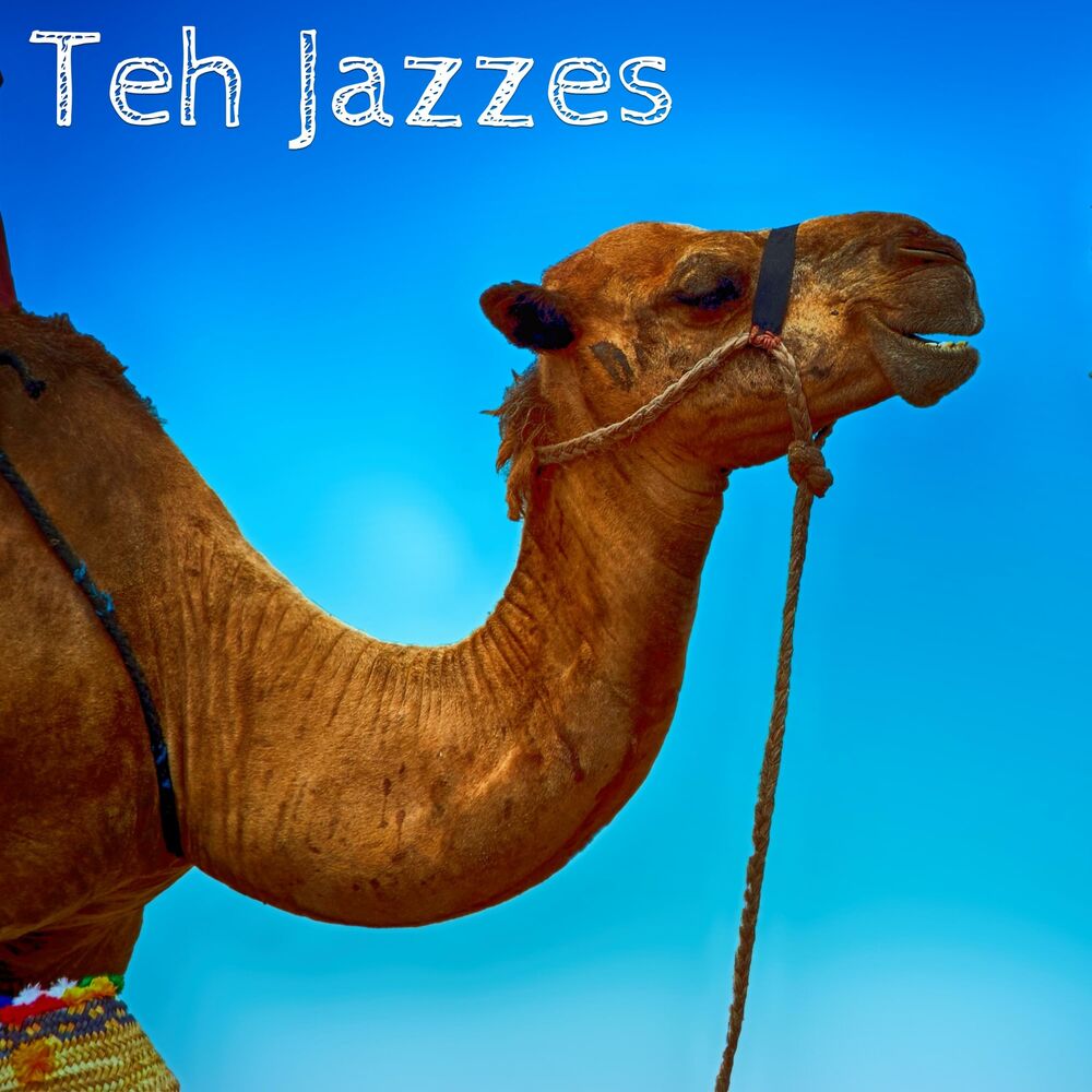 Picture of Teh Jazzes