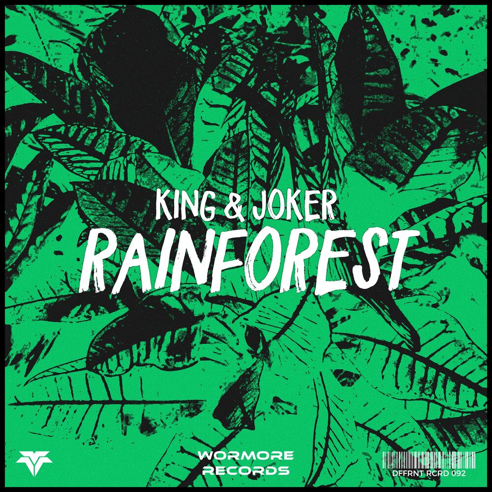 Picture of Rainforest
