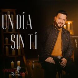 Cover of Un Día Sin Ti