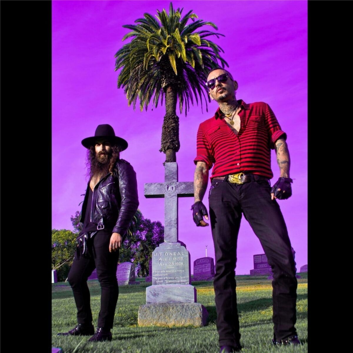 Album cover of Gothic Summer