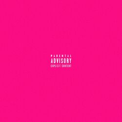 Cover of Shakerando