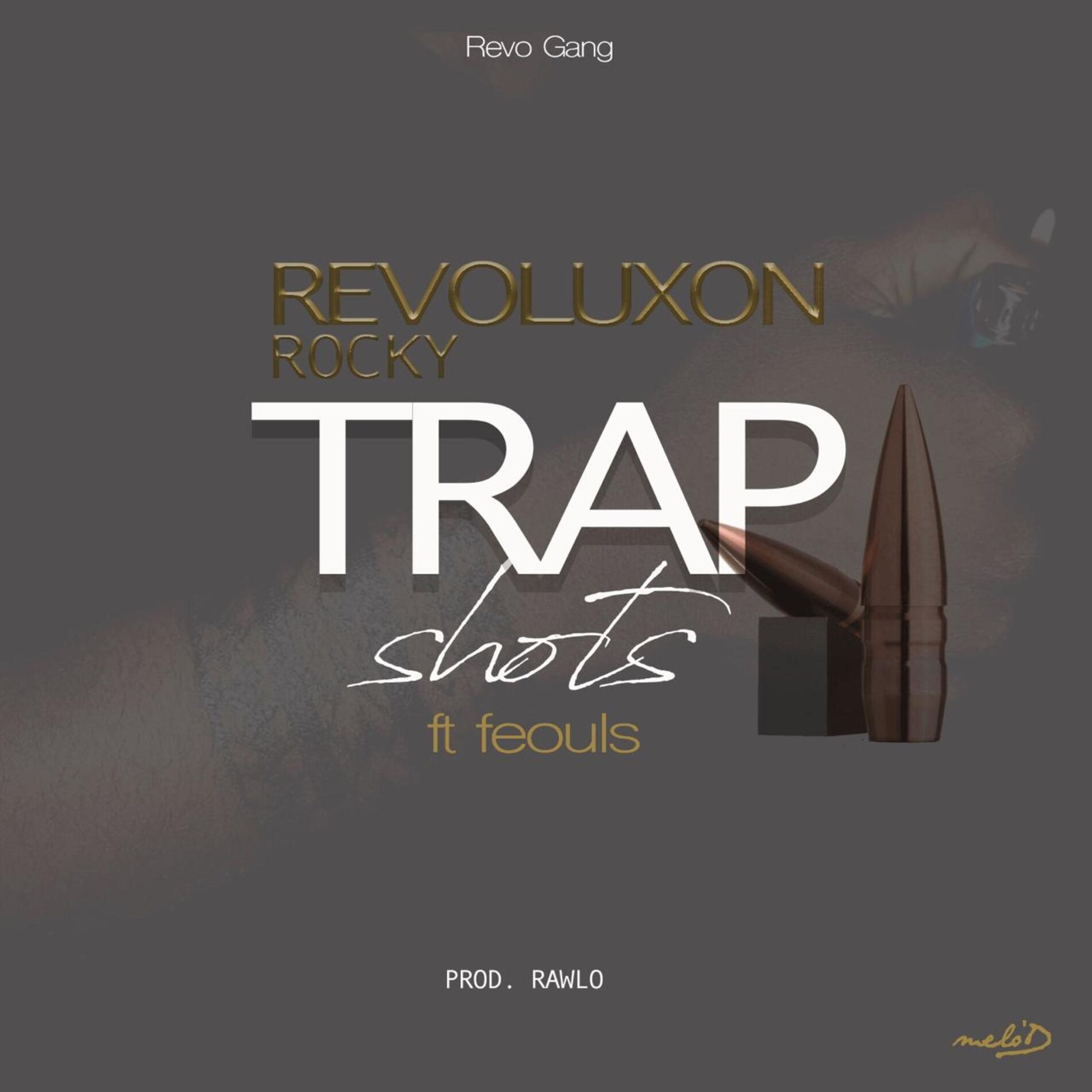 Album cover of Trap Shots (feat. Feouls)