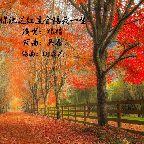 你说过红尘会陪我一生 (DJ版)