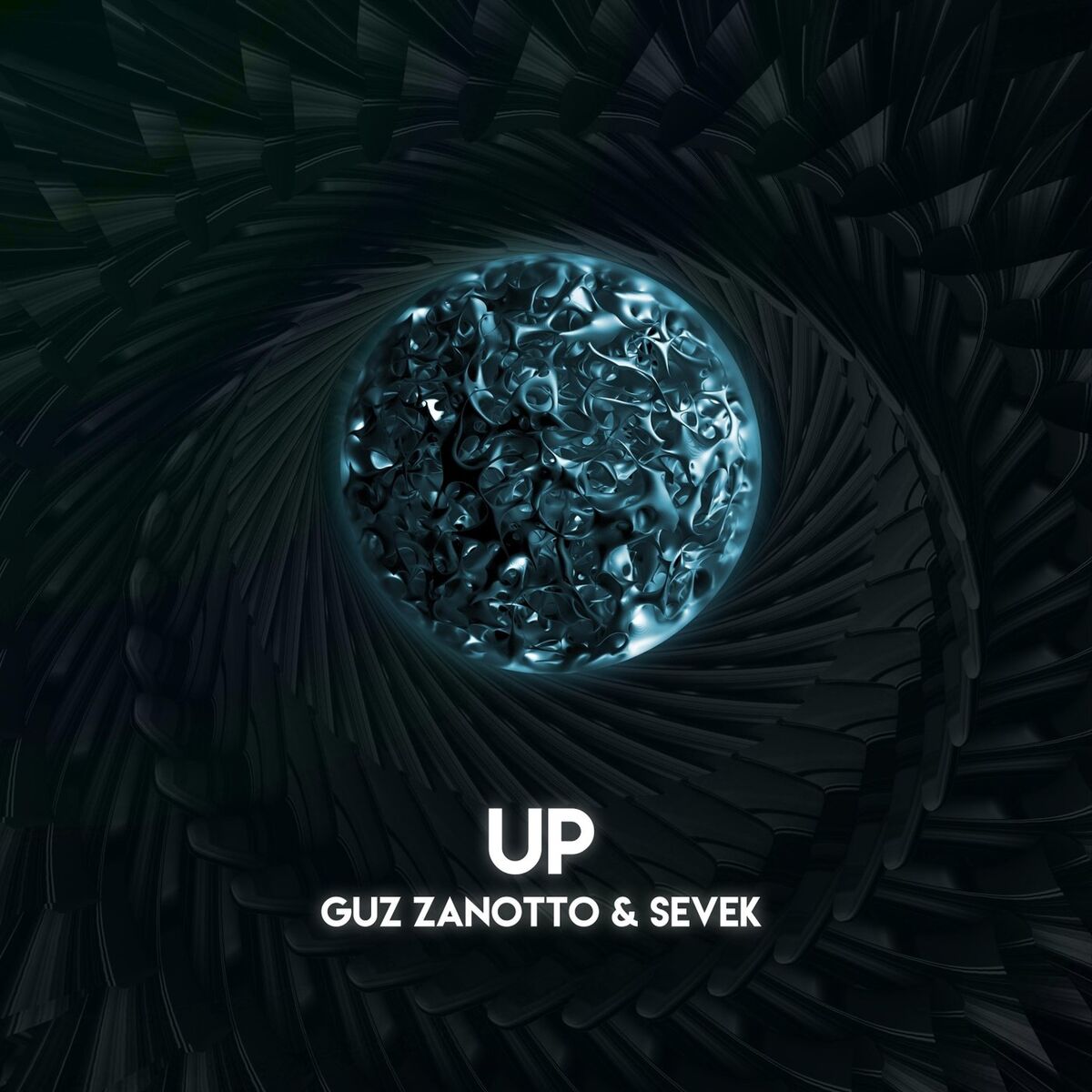 Album cover of Up