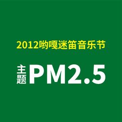 Cover of 2012花溪迷笛音乐节