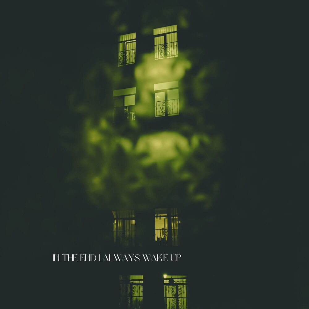 Picture of In The End I Always Wake Up