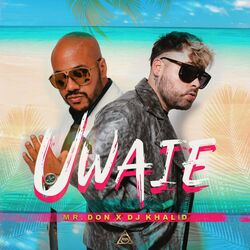 Cover of Uwaie