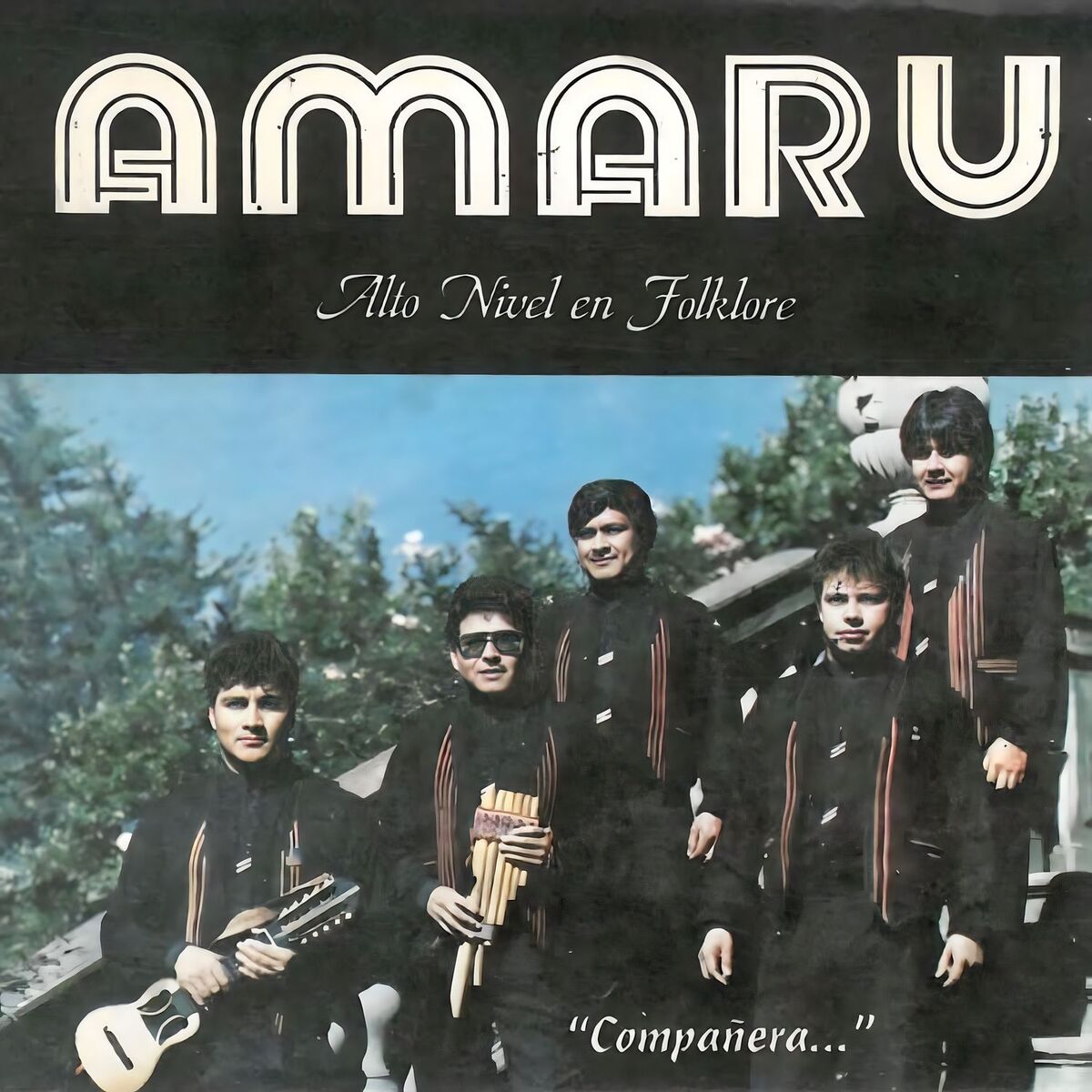 Album cover of Compañera...