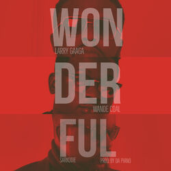 Cover of Wonderful