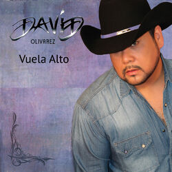 Cover of Vuela Alto
