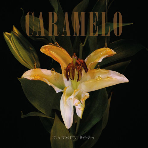 Caramelo artwork
