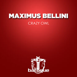 Cover of Crazy Owl