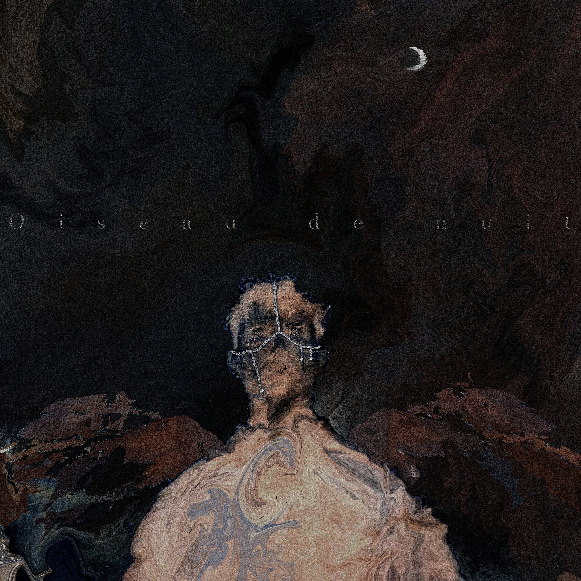 Album cover of Oiseau de nuit